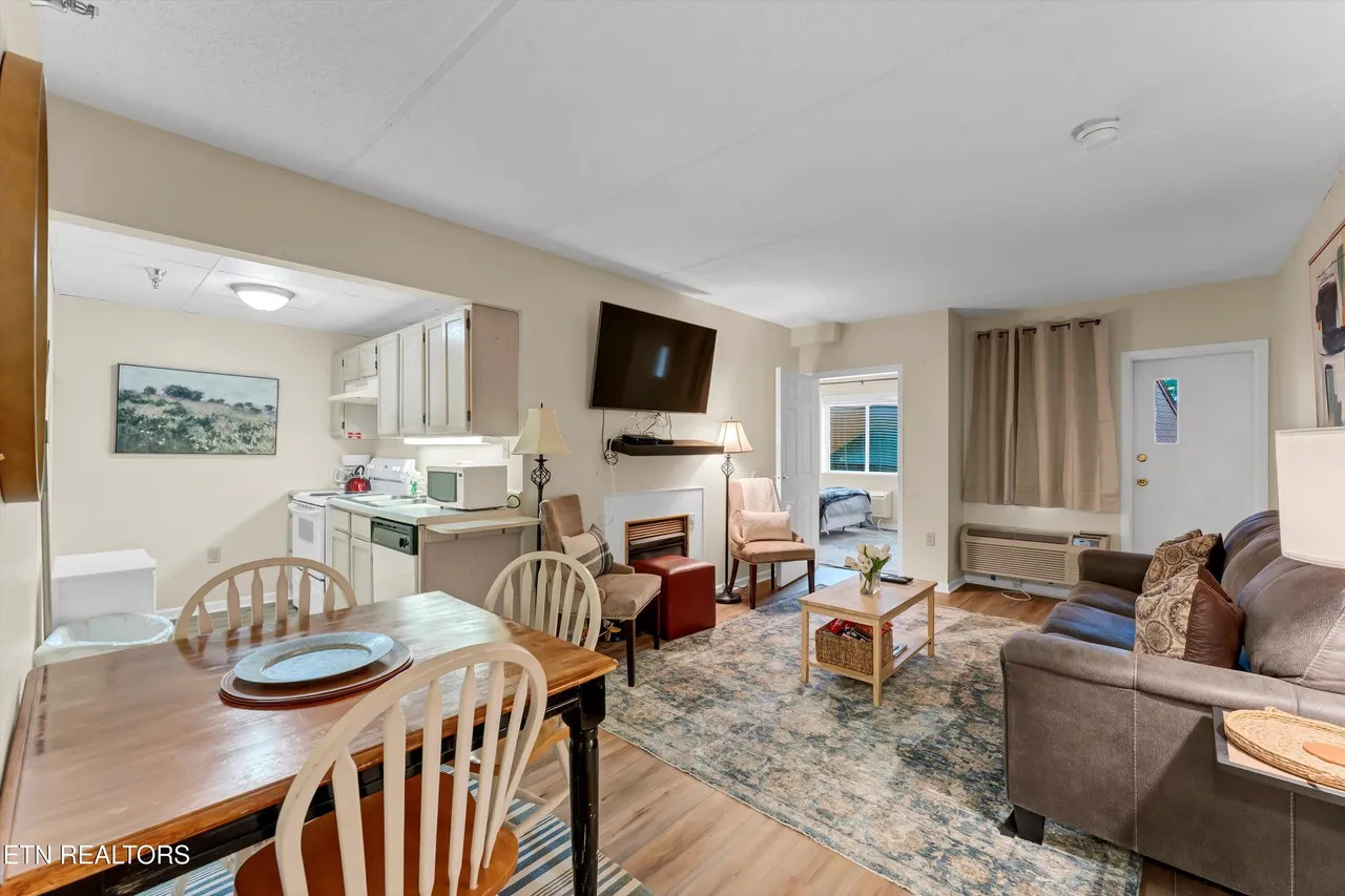 Basic condo living space