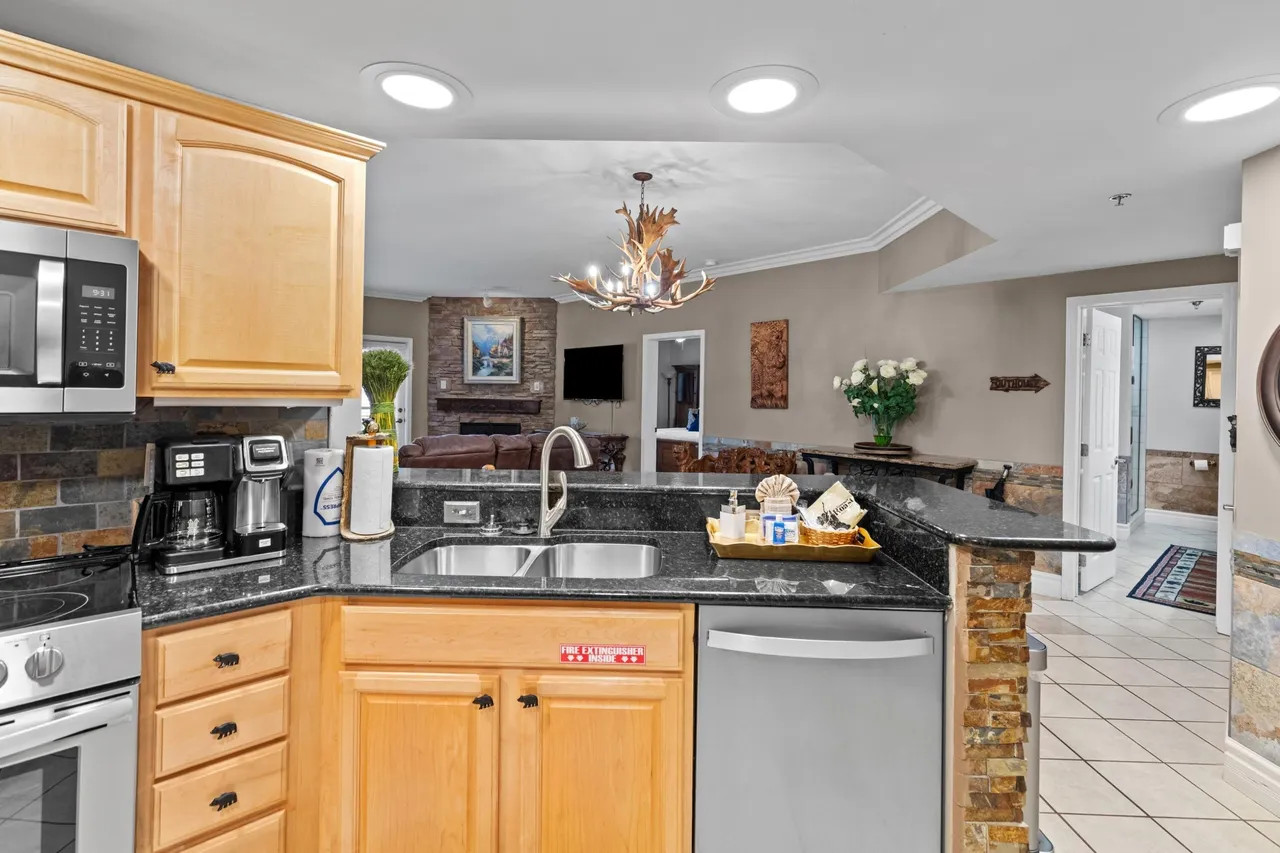 Luxury condo kitchen