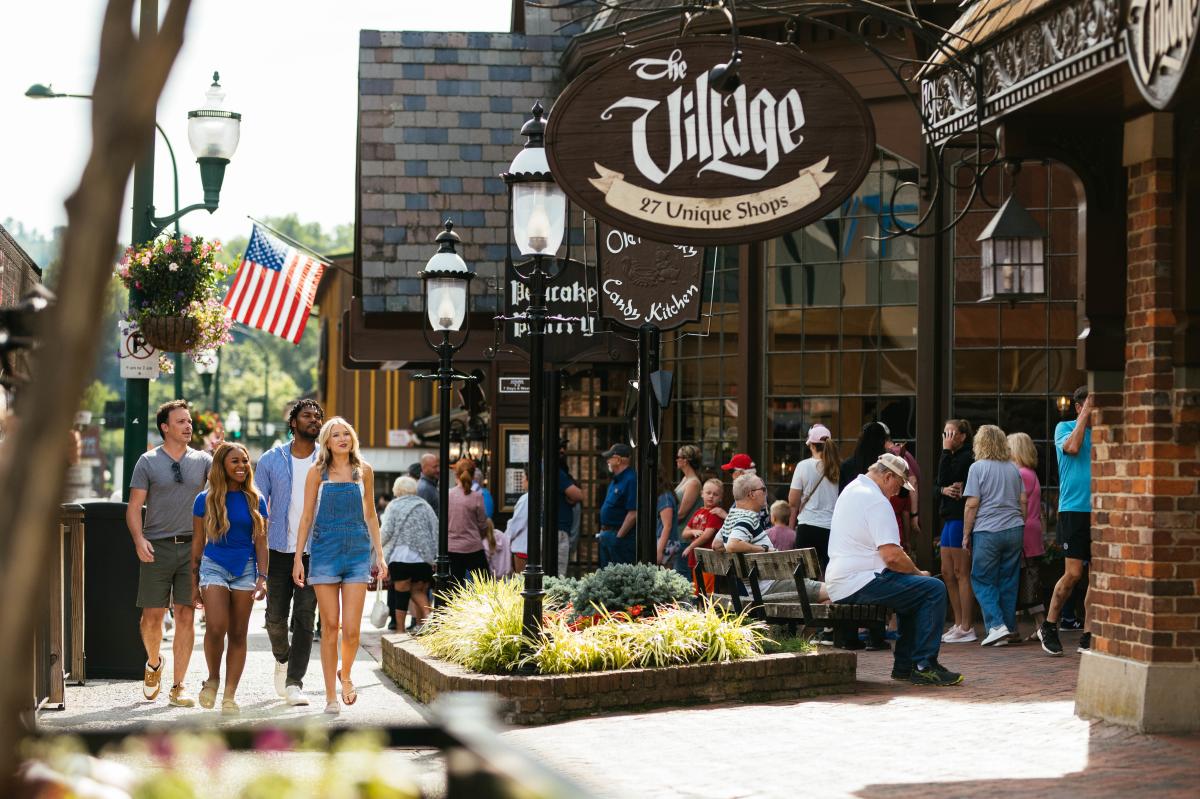 Warm Smoky Mountains image or Gatlinburg neighborhood/property image